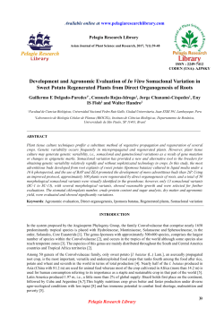 Development and Agronomic Evaluation of In Vitro