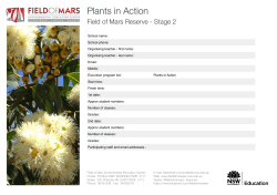S2 Plants in Action FOM 2017.pages