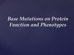 Base Mutations on Protein Function and Phenotypes