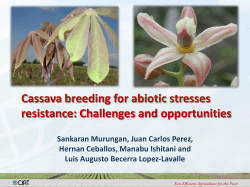 Cassava breeding for abiotic stresses resistance: Challenges and