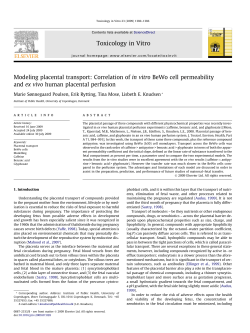 Modeling placental transport: Correlation of in vitro BeWo cell