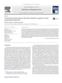 Traction force microscopy on soft elastic substrates