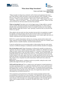 Should I use Silage Inoculants or not