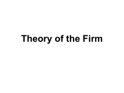 Theory of the Firm