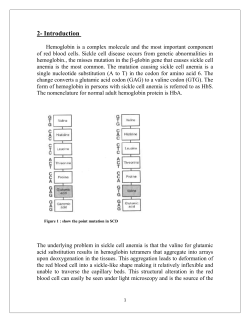 Sickle Cell Disease: History And Origin
