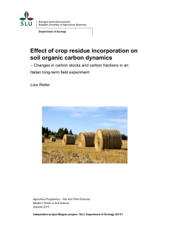 Effect of crop residue incorporation on soil organic carbon dynamics