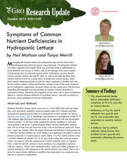 Nutrient Deficiencies in Lettuce - e-GRO