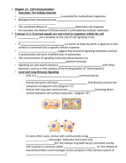 Chapter 11: Cell Communication Overview