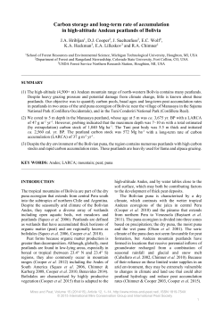 Carbon storage and long-term rate of accumulation