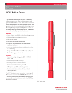 DPU&reg; Tubing Punch