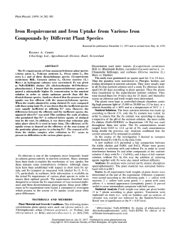 Iron Requirement and Iron Uptake from Various Iron Compounds by