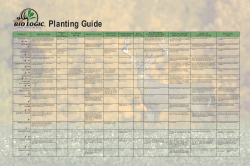 product planting depth description when to plant recommended
