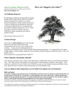 Total Tree Canopy: 1256 acres (31