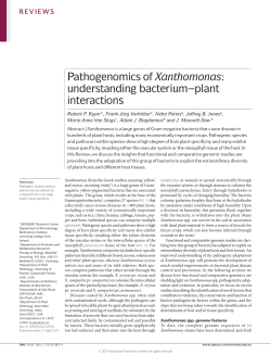 Pathogenomics of Xanthomonas: understanding bacterium&ndash;plant