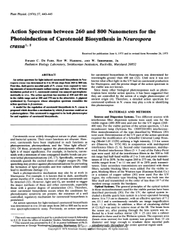 Action Spectrum between 260 and 800