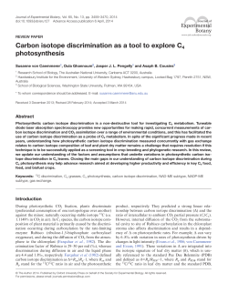 Carbon isotope discrimination as a tool to explore C4 photosynthesis