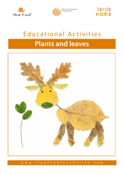 Plants and leaves - Fondazione Slow Food
