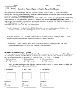 Codominance Worksheet