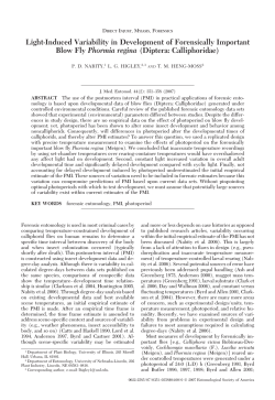 Light-Induced Variability in Development of Forensically Important