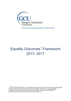 Equality Outcomes Framework 2013 -2017
