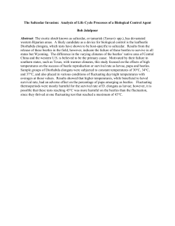 The Saltcedar Invasion: Analysis of Life Cycle Processes of a