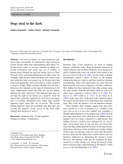 Dogs steal in the dark - Max Planck Institute for Evolutionary