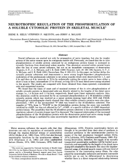 neurotrophic regulation of the phosphorylation of a soluble cytosolic