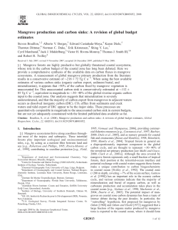 Mangrove production and carbon sinks: A revision of global budget