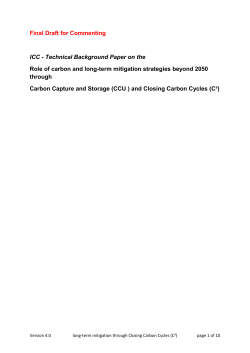 Technical Background Paper on the Role of carbon and long