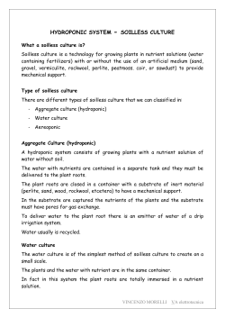 HYDROPONIC SYSTEM - SOILLESS CULTURE What a soilless
