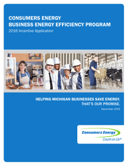 CONSUMERS ENERGY BUSINESS ENERGY EFFICIENCY