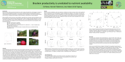 Bracken productivity is unrelated to nutrient availability
