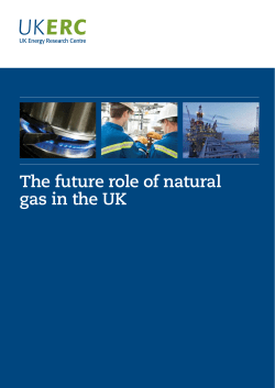 The future role of natural gas in the UK