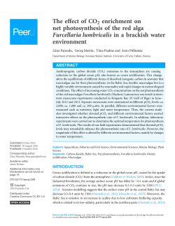 The effect of CO2 enrichment on net photosynthesis of the