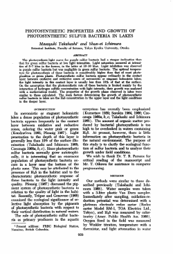 photosynthetic properties and growth of photosynthetic sulfur