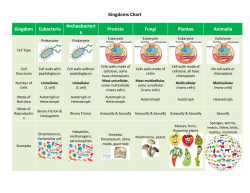 lusterkingdoms chart 2017 ESL Version