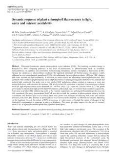 Dynamic response of plant chlorophyll fluorescence to light, water