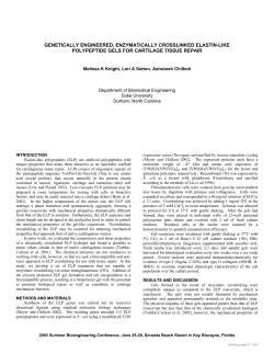 Genetically Engineered, Enzymatically Crosslinked Elastin