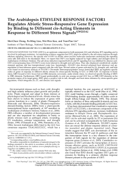 The Arabidopsis ETHYLENE RESPONSE