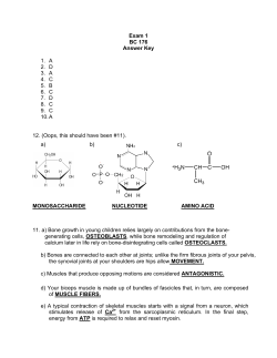 Exam 1 BC 176 Answer Key 1. A 2. D 3. A 4. C 5. B 6. C 7. D 8. C 9