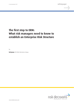 1st step to ERM white_Layout 1