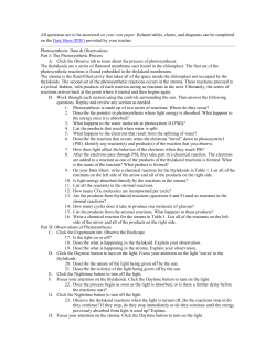 Directionsfor photosynthesis lab