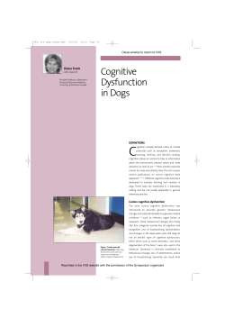 Cognitive Dysfunction in Dogs