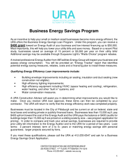 Business Energy Savings Program