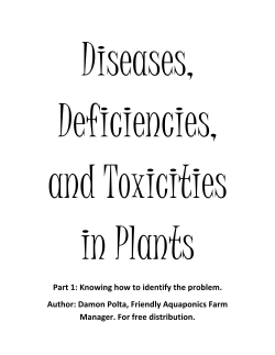 Part 1: Knowing how to identify the problem