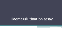 Influenza hemagglutination inhibition assay