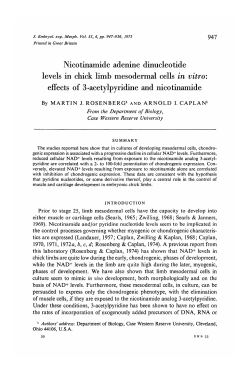 Nicotinamide adenine dinucleotide levels in chick