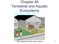 Temperate Deciduous Forests