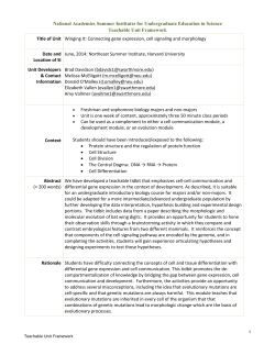 Connecting Gene Expression, Cell Signaling, and Morphology