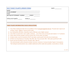2017 fancy plants order form